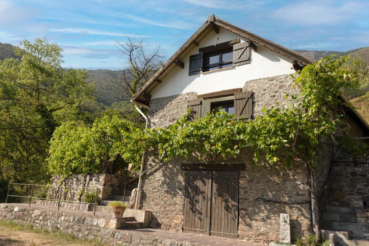 La Petite Chataigne Valdeblore Exterior foto